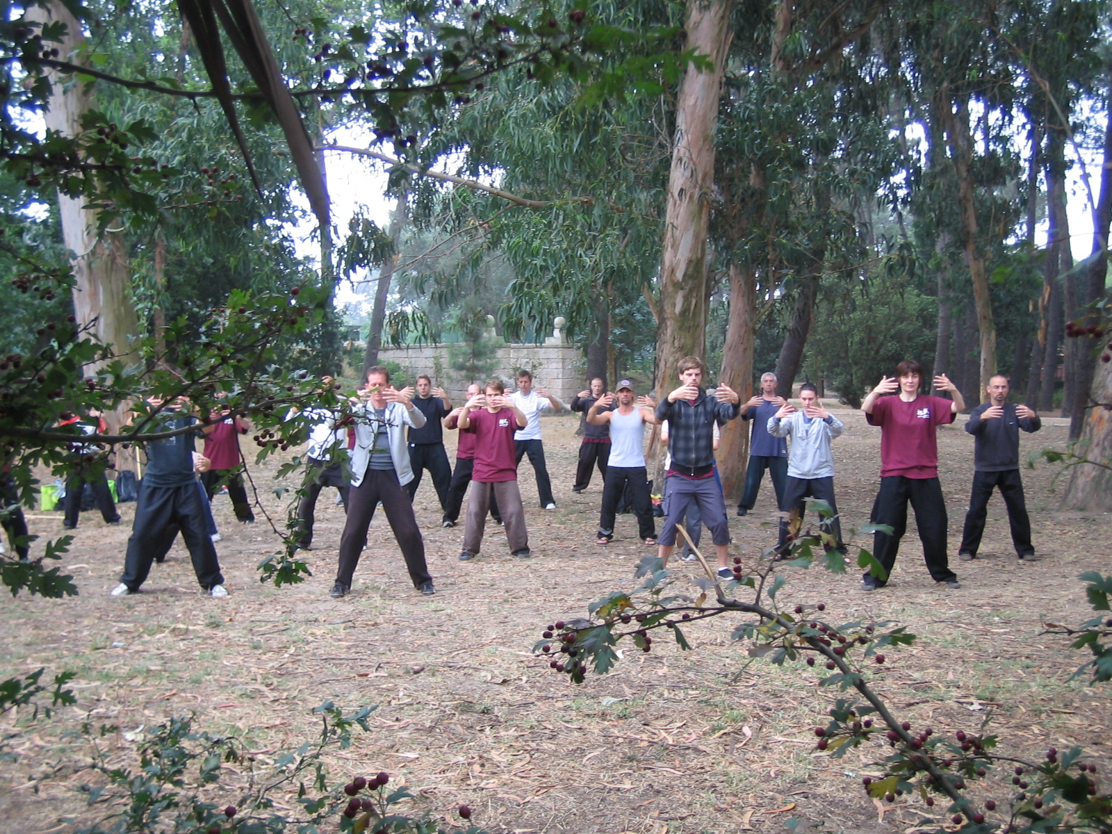 You are currently viewing Qi Gong Kurs unter neuer Leitung
